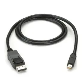 Black Box 822088058571 Envmdpdp-0015-mm Mini Displayport To Cable - Male/male 15
