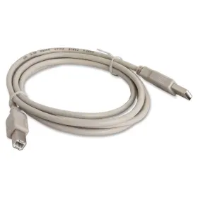 Compucessory 794192111506 A-b Usb Cable - 6 Ft 1 Pack X Type A