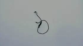 N85158-001 Hp 22-dg0024 Aio Lcd Baclight Cable N85158-001 Hp 22-dg0024 Aio Lcd Baclight Cable