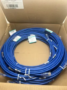 Utp6ax5mbu Panduit Tx6a 10gig Utp Patch Cord T560b Cm 24awg Solid Blue 5m 10 Pk