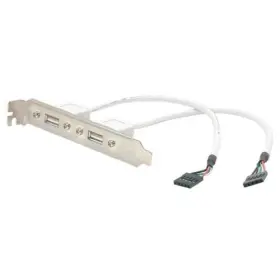 Startech It 065030778886 2 Port Usb A Female Slot Plate Adapter Cable - X Type Startech It 065030778886 2 Port Usb A Female Slot Plate Adapter Cable - X Type