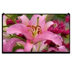 New 15.6"LED Lcd Screen LP156WF9-SPN1 (SP)(N1) For Hp Lg Edp 30PIN Fhd 1920X1080. Price: $129.00.