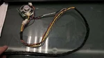 468625-002 Hp Z800 Power On/off Switch Led Speaker Cable Assembly 468625-001 Used. Price: $16.99.