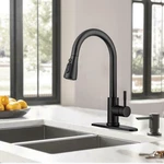 Stainless Black Kitchen Sink Faucet Single Handle Swivel Pull Down Sprayer Mixer New. Price: $35.73.
