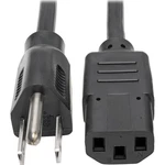 Eaton P006-006 Desktop Computer Ac Power Cable, Nema 5-15P C13 10A, 125V, New. Price: $17.08.