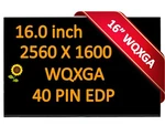 165HZ Screen For Acer Predator Helios Neo N22Q22 16" Lcd PHN16-71-50JG New. Price: $93.86.