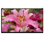 New (SP)(N1) LP156WF9-SPN1 Hp Non-touch Edp 30PINS Ips. Price: $119.00.